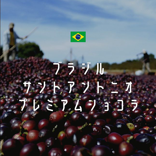 ブラジル産ライクチョコレート「サントアントニオ ショコラ」